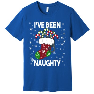 Funny Ugly Couples Christmas IVe Been Naughty Gift Premium T-Shirt