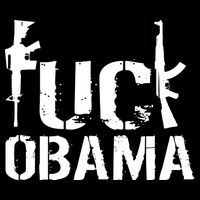 Fuck Obama Gun Rights Button