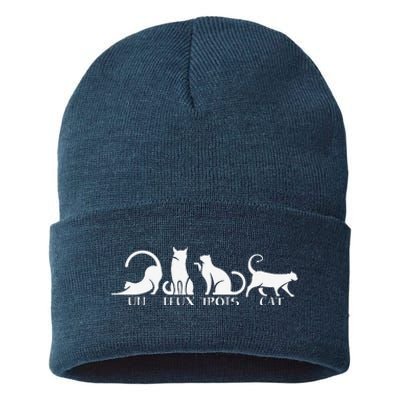 Funny Un Deux Trois Cat Cats Owner Animal Lover Kitten Meow Sustainable Knit Beanie