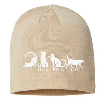 Funny Un Deux Trois Cat Cats Owner Animal Lover Kitten Meow Sustainable Beanie