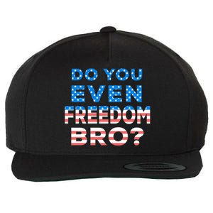 Fourth Usa Flag Funny 4th Of July Do You Even Freedom Bro? Gift Wool Snapback Cap