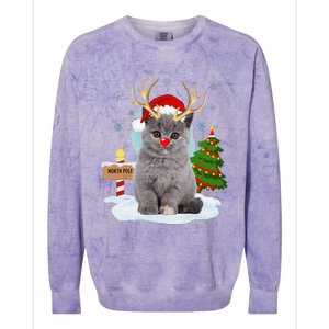 Funny Ugly Funny Cat Reindeer North Pole Christmas Colorblast Crewneck Sweatshirt