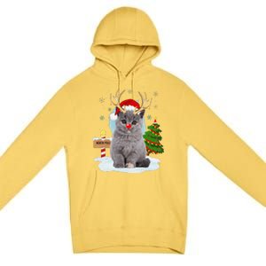 Funny Ugly Funny Cat Reindeer North Pole Christmas Premium Pullover Hoodie