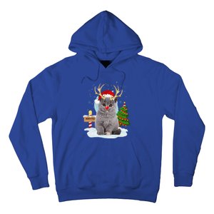 Funny Ugly Funny Cat Reindeer North Pole Christmas Hoodie