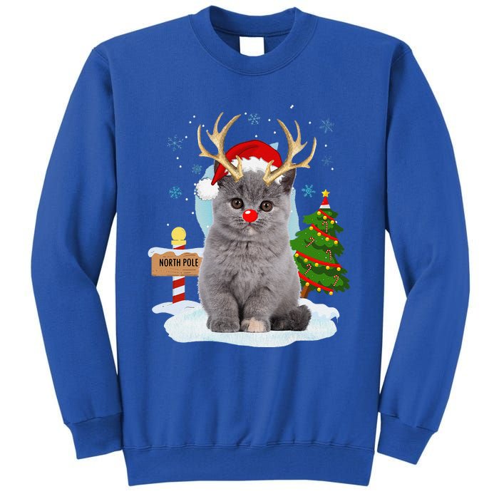 Funny Ugly Funny Cat Reindeer North Pole Christmas Tall Sweatshirt