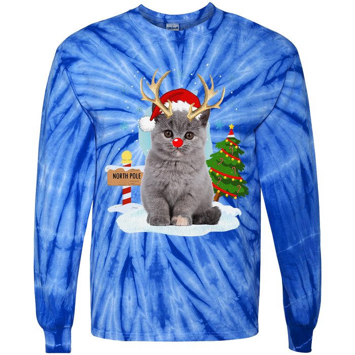 Funny Ugly Funny Cat Reindeer North Pole Christmas Tie-Dye Long Sleeve Shirt