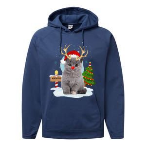 Funny Ugly Funny Cat Reindeer North Pole Christmas Performance Fleece Hoodie