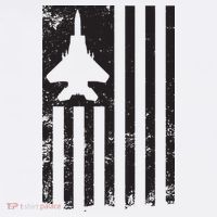 F15 USA FLAG Eagle Fighter Jet For Usaf Pilot Or Crew Magnet