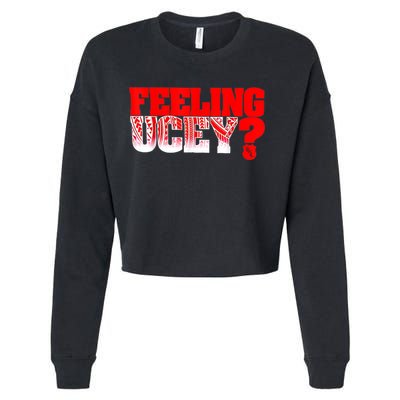 Feeling Ucey Cropped Pullover Crew