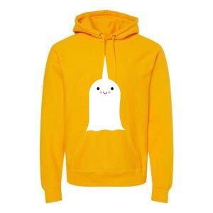 Friendly Unicorn Ghost Boonicorn Gift Premium Hoodie