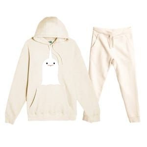 Friendly Unicorn Ghost Boonicorn Gift Premium Hooded Sweatsuit Set