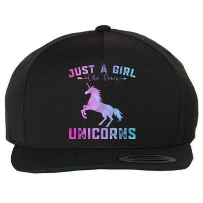 Funny Unicorns Lover Just A Who Loves Unicorns Great Gift Wool Snapback Cap