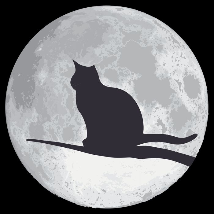 Full Moon Cat Silhouette Halloween Cooling Performance Crew T-Shirt