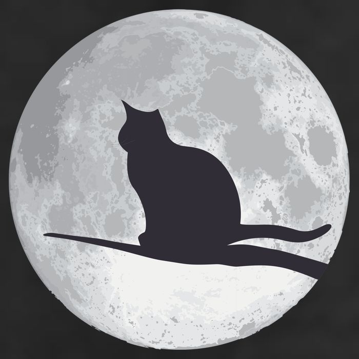 Full Moon Cat Silhouette Halloween Adult Drive Performance Visor