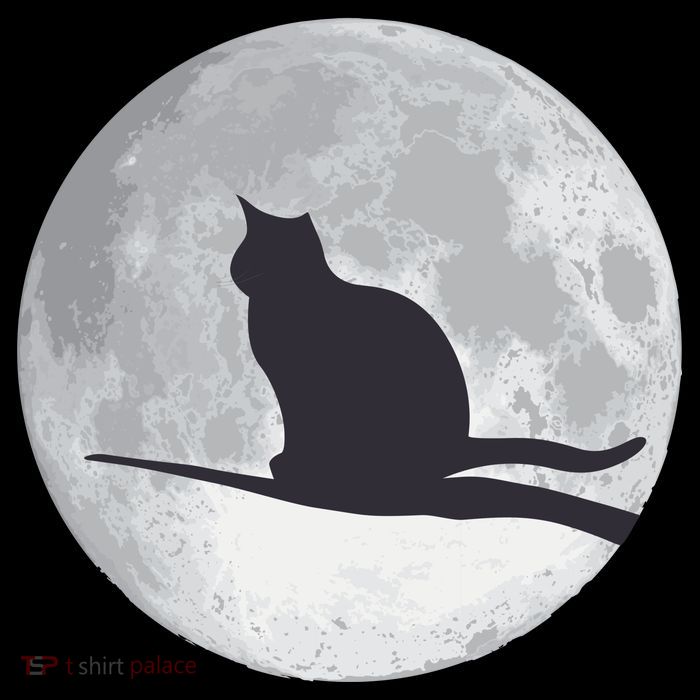 Full Moon Cat Silhouette Halloween Kids T-Shirt