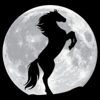 Full Moon Horse Cooling Performance Crew T-Shirt