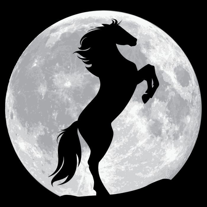 Full Moon Horse Cooling Performance Crew T-Shirt
