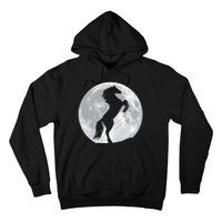 Full Moon Horse Hoodie