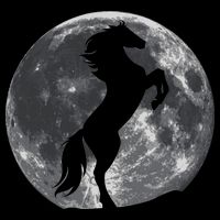 Full Moon Horse Mug