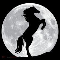 Full Moon Horse Baby Bodysuit