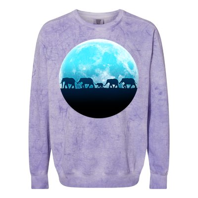 Full Moon With Elephant Family Colorblast Crewneck Sweatshirt