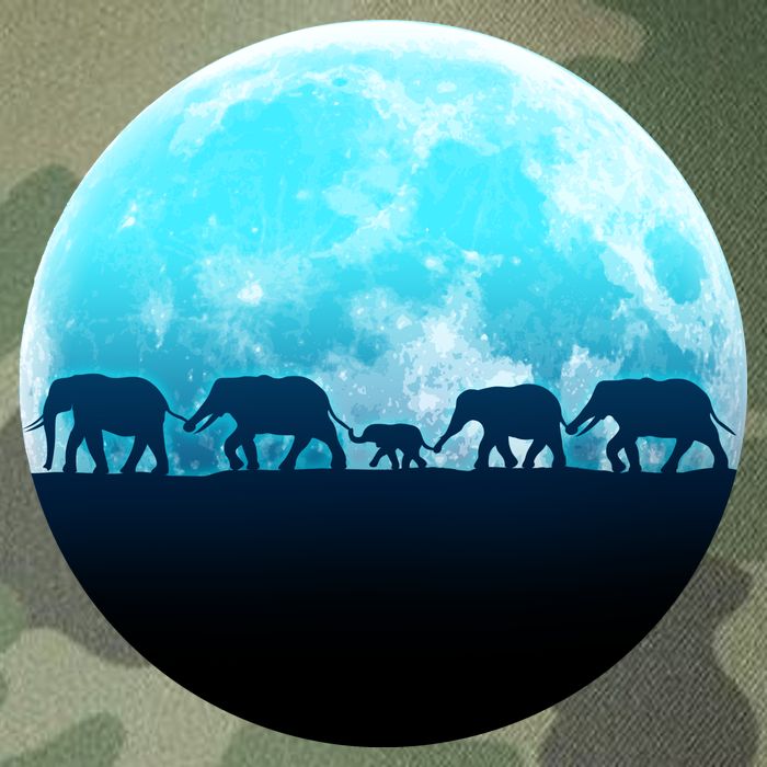 Full Moon With Elephant Family Legacy Tie Dye Trucker Hat