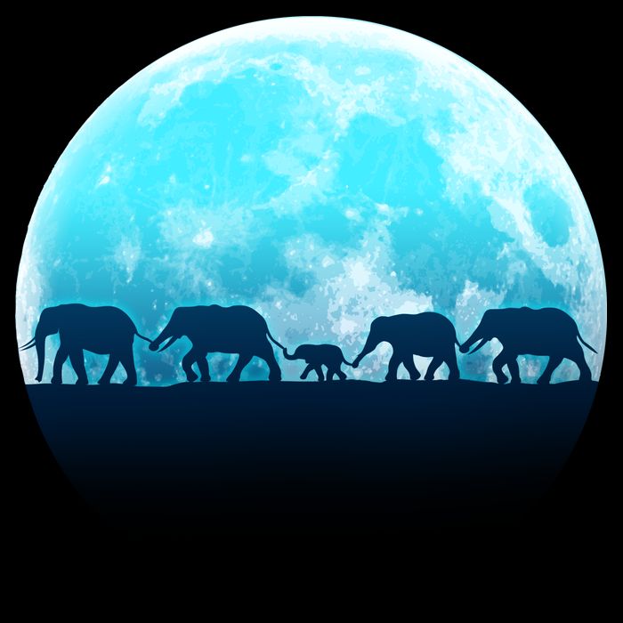 Full Moon With Elephant Family Impact Tech Backpack