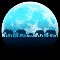 Full Moon With Elephant Family 7-Panel Snapback Hat