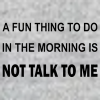 Fun Thing To Do In The Morning Is Not Talk To Me Sarcastic Premium T-Shirt