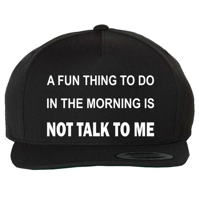 Fun Thing To Do In The Morning Is Not Talk To Me Sarcastic Wool Snapback Cap