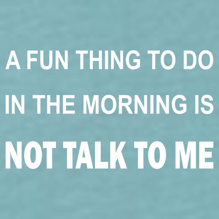 Fun Thing To Do In The Morning Is Not Talk To Me Sarcastic Sueded Cloud Jersey T-Shirt