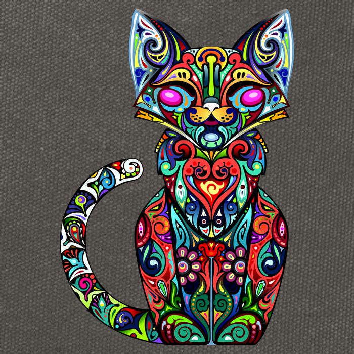 Fun Trippy Cat Cotton Canvas Backpack
