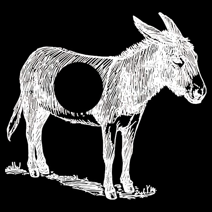 Funny Asshole Donkey Impact Tech Backpack