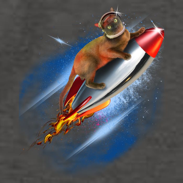 Funny Astronaut Cat Blasting Off In Space Vector Backpack