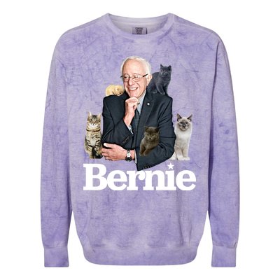 Funny Bernie Sanders Cats Colorblast Crewneck Sweatshirt