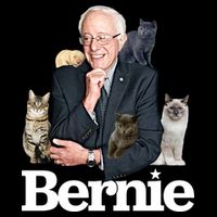Funny Bernie Sanders Cats Cooling Performance Crew T-Shirt