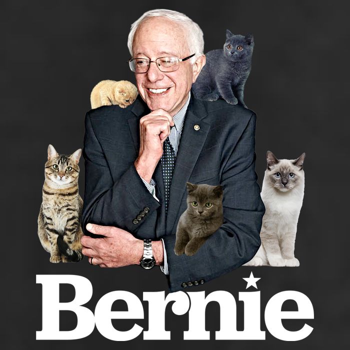 Funny Bernie Sanders Cats Adult Drive Performance Visor
