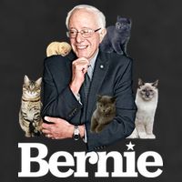 Funny Bernie Sanders Cats 11oz C Handle Ceramic Mug
