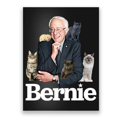 Funny Bernie Sanders Cats Poster