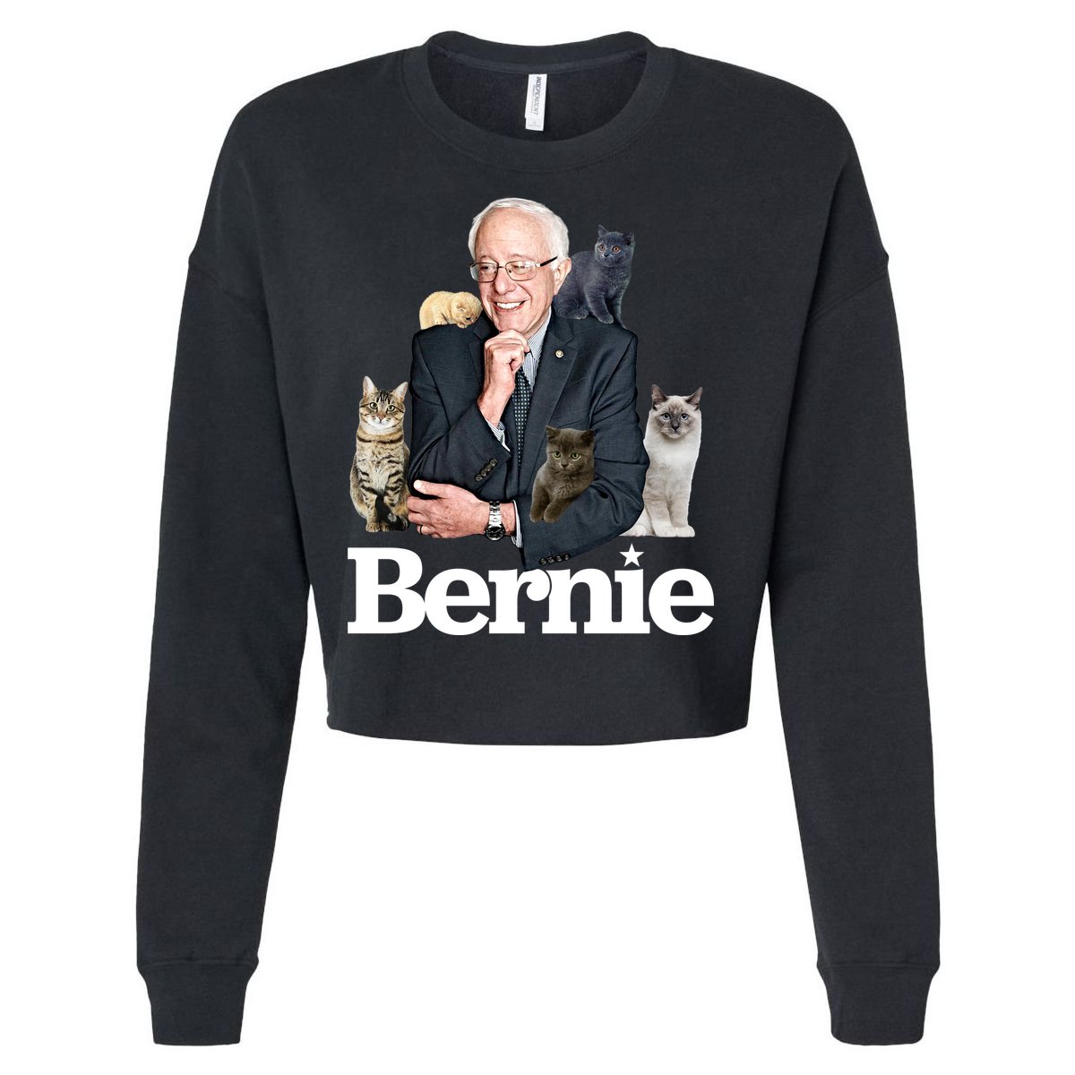 Funny Bernie Sanders Cats Cropped Pullover Crew