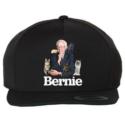 Funny Bernie Sanders Cats Wool Snapback Cap