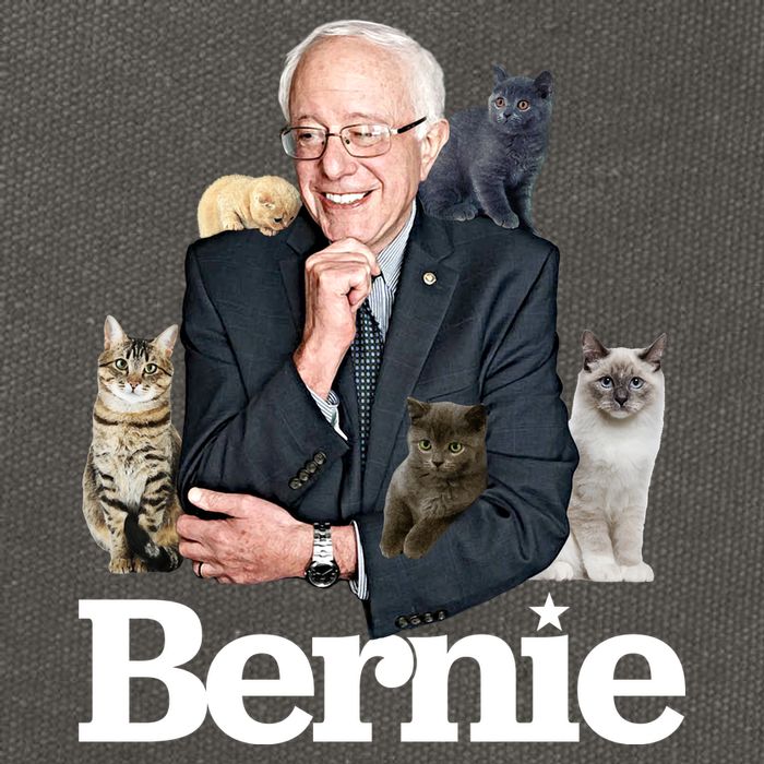 Funny Bernie Sanders Cats Cotton Canvas Backpack
