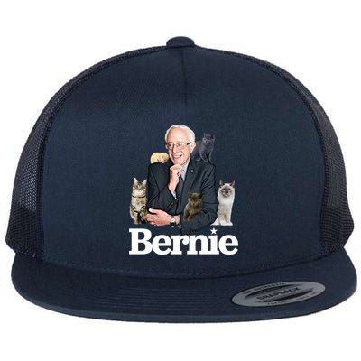 Funny Bernie Sanders Cats Flat Bill Trucker Hat