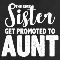 Funny Best Sister Get Promoted To Aunt Adult Drive Performance Visor
