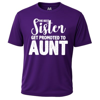 Funny Best Sister Get Promoted To Aunt Performance Shirt