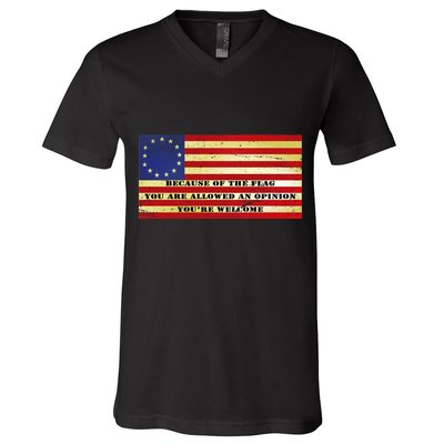 Funny Betsy Ross Original 13 Colony Flag V-Neck T-Shirt