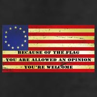 Funny Betsy Ross Original 13 Colony Flag 15oz Campfire Ceramic Mug