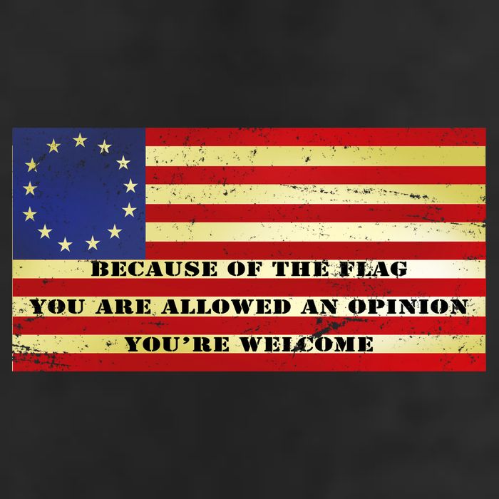 Funny Betsy Ross Original 13 Colony Flag 15oz Campfire Ceramic Mug