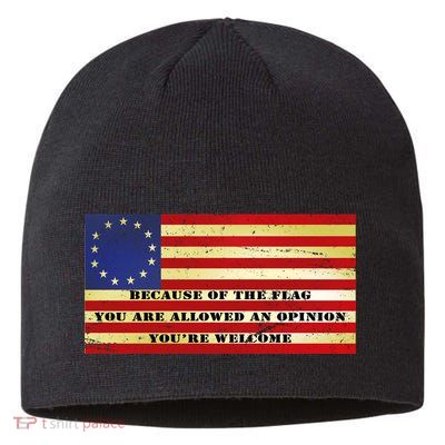 Funny Betsy Ross Original 13 Colony Flag Sustainable Beanie