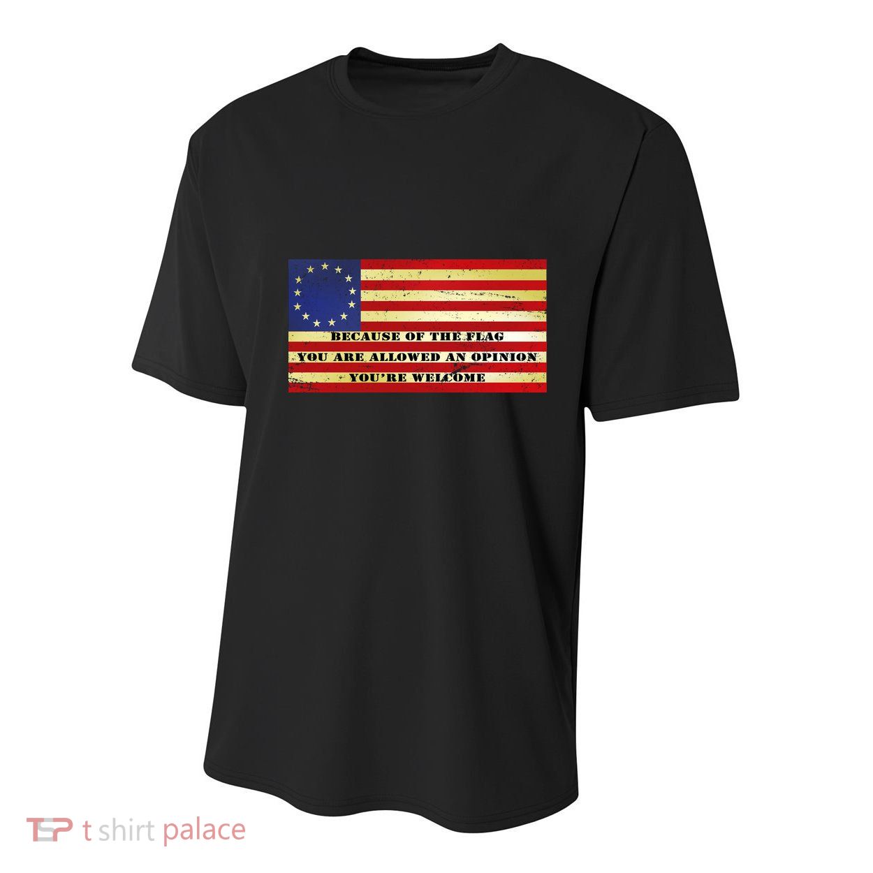 Funny Betsy Ross Original 13 Colony Flag Youth Performance Sprint T-Shirt
